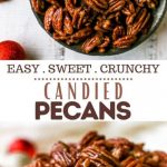 Microwave Pecan Pralines - an easy gift! | Just Microwave It