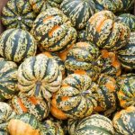 Maple Bacon Stuffed Carnival Squash - Sweet Poppy Seed