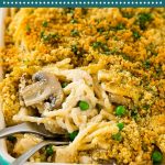 Chicken Tetrazzini - Dinner at the Zoo