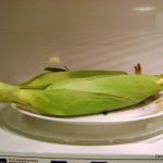 Microwave Corn on the Cob in Husk - No Messy Silk! - The Dinner-Mom