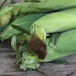 Microwave corn on the cob | Gourmandistan