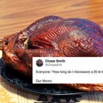 Turkey Microwave Meme: People Ask Their Mom How to Microwave a Turkey -  Thrillist