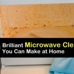 10 Brilliant Microwave Cleaners to Make at Home