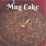 Vegan Chocolate Shakeology Mug Cake | Vegan chocolate shakeology, Shakeology  mug cake, Chocolate shakeology