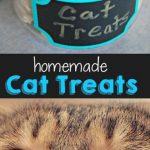 Homemade Cat Treats Recipe | Hausgemachtes katzenfutter, Katzen,  Katzenfutter