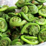 Fiddlehead Ferns - UVM Food Feed