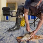 Coworker Called Out for Gutting, Scaling, Microwaving Fish in Office  Breakroom