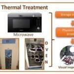 Foods | Free Full-Text | Comparison of Microwave Short Time and Oven  Heating Pretreatment on Crystallization of Raisins | HTML