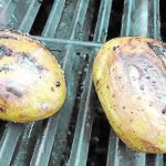What's the secret to grilling potatoes? Boil them first