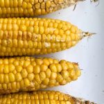 How long does it take to cook two ears of corn in the microwave?