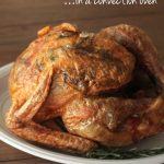 How To Cook a Turkey (in a Convection Oven) perfect for beginners