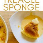 Microwave Treacle Sponge Recipe - Liana's Kitchen