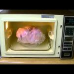 How To Cook A Turkey In The Microwave