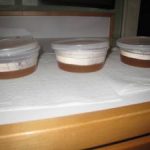 Homemade Petri Plates- Microbial Zoos « The Kitchen Pantry Scientist