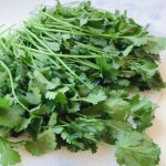 Tuesday Tip | How to Dry Fresh Coriander Leaves in the Microwave Method |  Fresh Coriander Leaves Powder – Mad About Cooking
