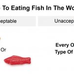 A guide to eating fish at work: funny