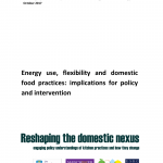 PDF) Energy use, flexibility and domestic food practices: implications for  policy and intervention