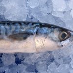 8 recipes on how to salt mackerel at home with slices and whole
