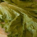 How to Make Soggy, Wilted Lettuce & Other Leafy Greens Edible Again « Food  Hacks :: WonderHowTo
