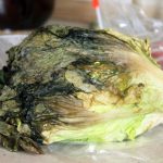 How to Make Soggy, Wilted Lettuce & Other Leafy Greens Edible Again « Food  Hacks :: WonderHowTo
