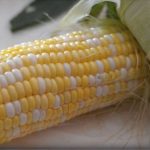 Microwaved Corn on the Cob - Cook the Story