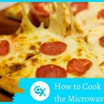 First run: frozen pizza in a countertop oven – Tasty Island