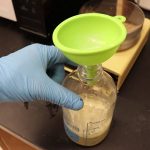 Homemade Petri Plates- Microbial Zoos « The Kitchen Pantry Scientist