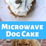 Homemade 5 Ingredient Dog Microwave Mug Cake