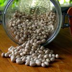 Navy Beans - CooksInfo