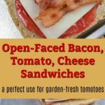 Baked Ham and Cheese Sliders – Modern Honey