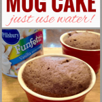 1-Minute Microwave Mug Cake No Milk No Egg | Milk Allergy Mom Recipes