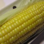 No-peel, Microwave, Corn on the Cob! AKA: the best trick ever! ⋆ Exploring  Domesticity