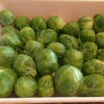 Fresh BRUSSELS SPROUTS * preparation * Basic MICROWAVE Steaming * - Cindy's  ON-Line recipe box