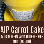 AIP Carrot Cake Mug Muffin with Blueberries and Coconut | Sam Eats Her  Nutrients