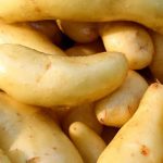 How to Grow and Cook the Tastiest Fingerling Potatoes