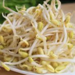 Study on Preparation of rehydrated mung bean sprouts by microwave drying –  Microwave Machinery