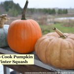 Fresh Pumpkin from the Microwave in 10 Minutes! - YouTube