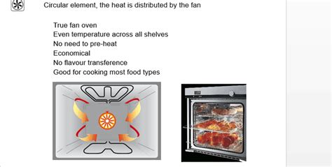 Which Electric Oven Is Best For Your Cooking Needs?