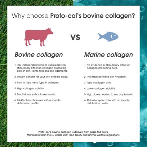 Bovine and Marine Collagen