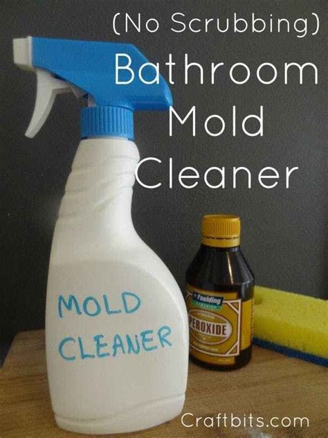 Mould and Mildew Removal in Bathroom